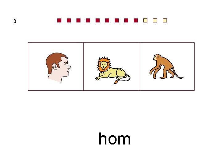 3 hom 