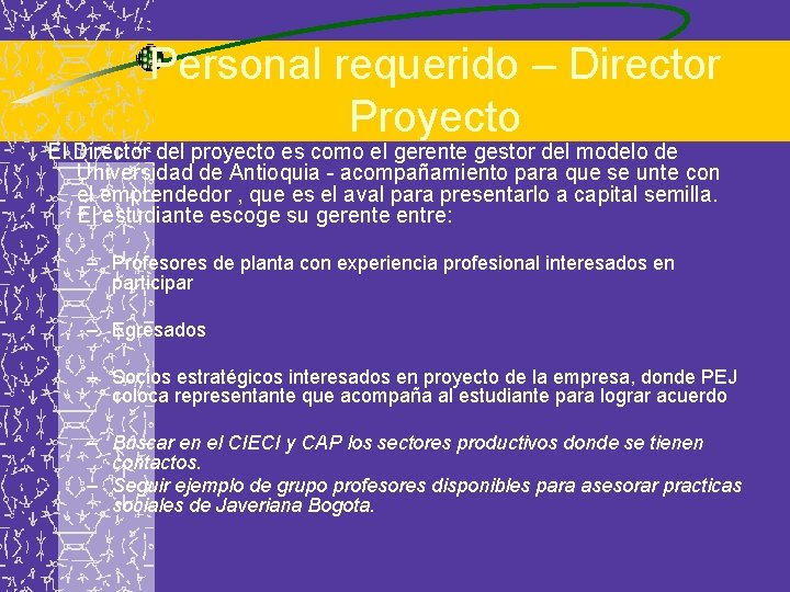 Personal requerido – Director Proyecto El Director del proyecto es como el gerente gestor