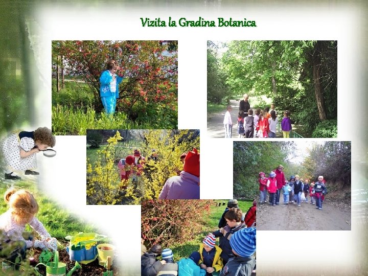 Vizita la Gradina Botanica 