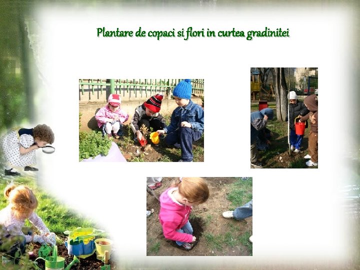 Plantare de copaci si flori in curtea gradinitei 