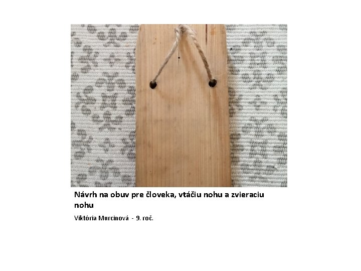 Návrh na obuv pre človeka, vtáčiu nohu a zvieraciu nohu Viktória Murcinová - 9.