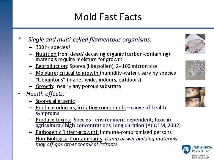 Mold Fast Facts • Single and multi-celled filamentous organisms: – 300 K+ species? –