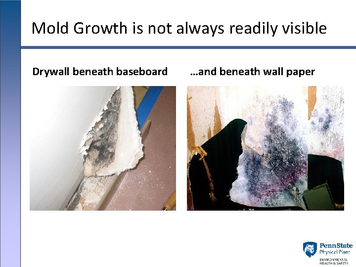 Mold Growth is not always readily visible Drywall beneath baseboard …and beneath wall paper