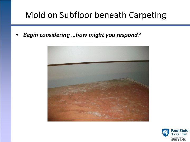 Mold on Subfloor beneath Carpeting • Begin considering …how might you respond? 