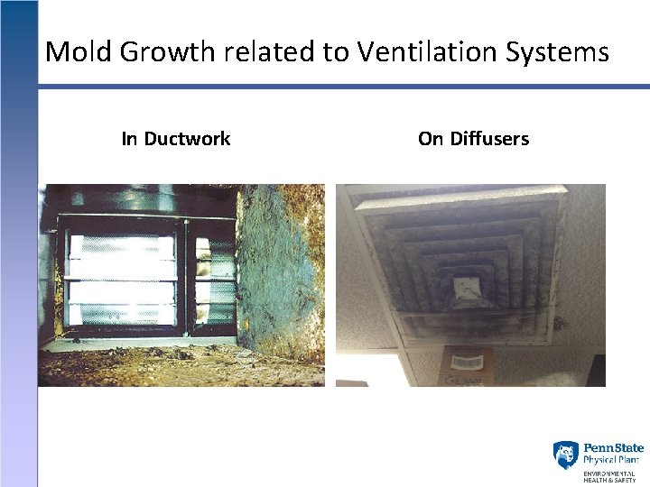 Mold Growth related to Ventilation Systems In Ductwork On Diffusers 