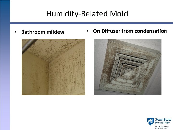 Humidity-Related Mold • Bathroom mildew • On Diffuser from condensation 