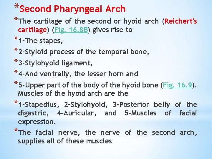 *Second Pharyngeal Arch *The cartilage of the second or hyoid arch (Reichert's cartilage) (Fig.