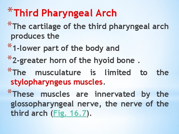 *Third Pharyngeal Arch *The cartilage of the third pharyngeal arch produces the *1 -lower