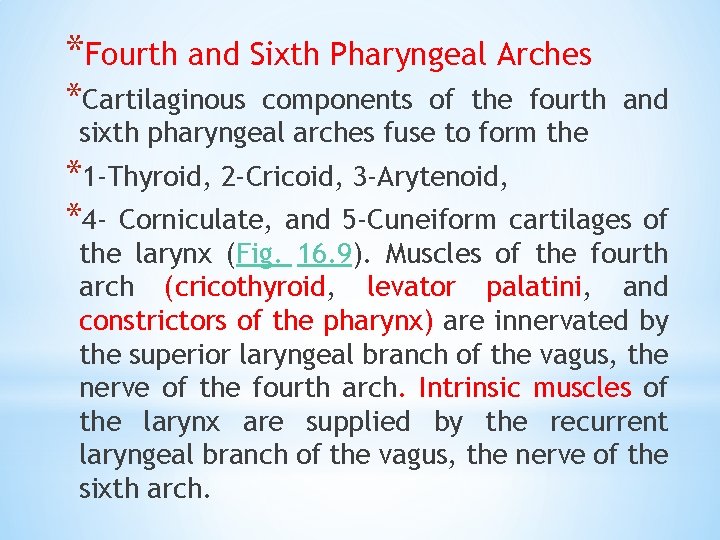 *Fourth and Sixth Pharyngeal Arches *Cartilaginous components of the fourth and sixth pharyngeal arches