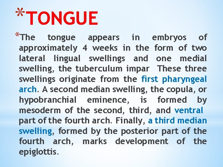 *TONGUE *The tongue appears in embryos of approximately 4 weeks in the form of