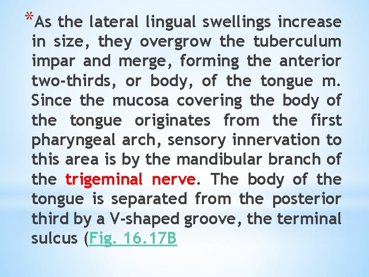 *As the lateral lingual swellings increase in size, they overgrow the tuberculum impar and