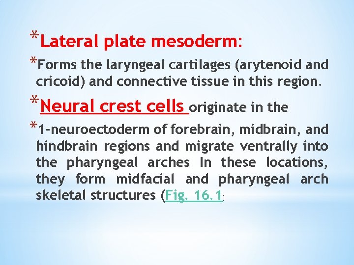 *Lateral plate mesoderm: *Forms the laryngeal cartilages (arytenoid and cricoid) and connective tissue in