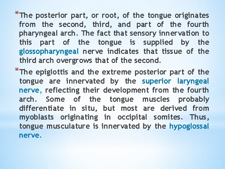 *The posterior part, or root, of the tongue originates from the second, third, and