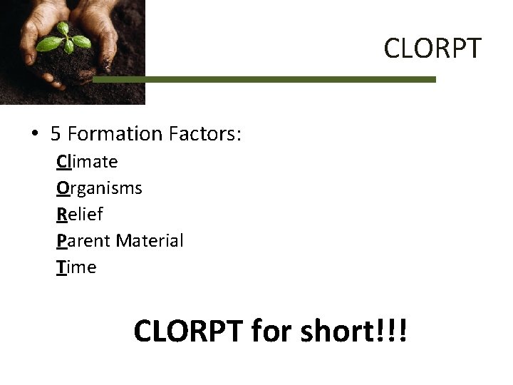 CLORPT • 5 Formation Factors: Climate Organisms Relief Parent Material Time CLORPT for short!!!