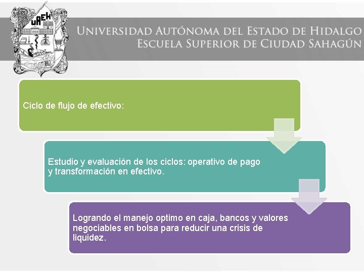 Ciclo de flujo de efectivo: Estudio y evaluación de los ciclos: operativo de pago