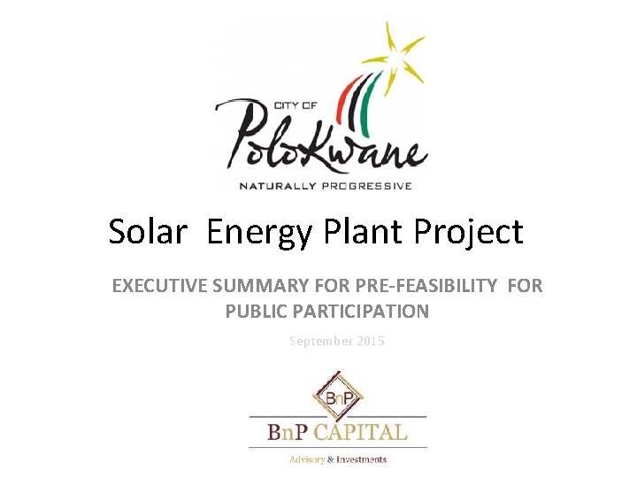 Solar Energy Plant Project EXECUTIVE SUMMARY FOR PRE-FEASIBILITY FOR PUBLIC PARTICIPATION September 2015 30