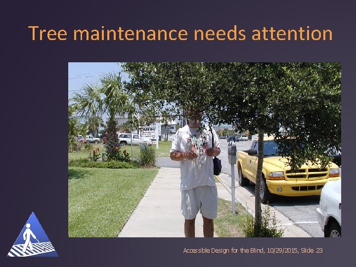 Tree maintenance needs attention Accessible Design for the Blind, 10/29/2015, Slide 23 