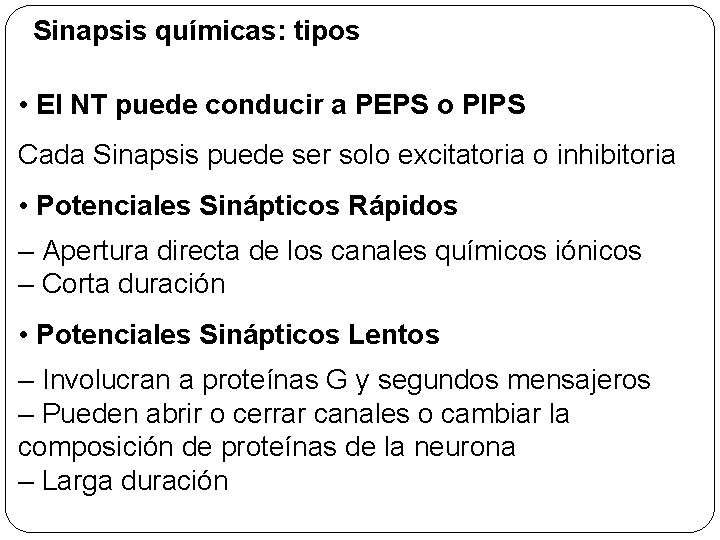 Sinapsis químicas: tipos • El NT puede conducir a PEPS o PIPS Cada Sinapsis Sinapsis químicas: tipos • El NT puede conducir a PEPS o PIPS Cada Sinapsis