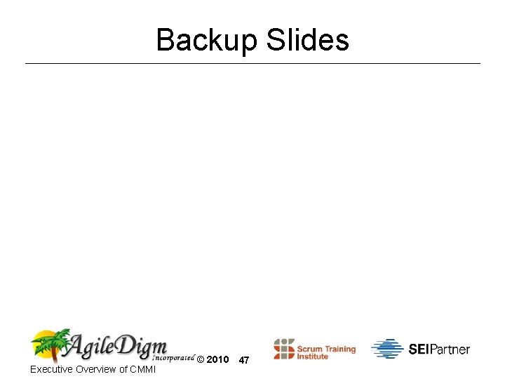 Backup Slides Executive Overview of CMMI © 2010 47 