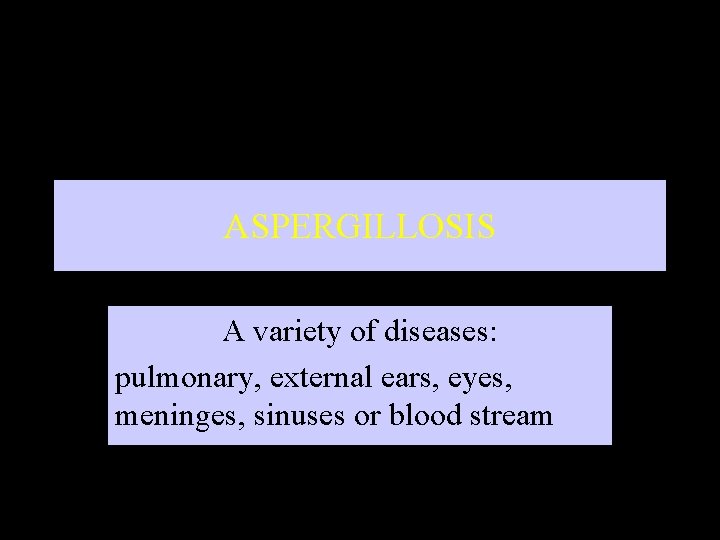 ASPERGILLOSIS A variety of diseases: pulmonary, external ears, eyes, meninges, sinuses or blood stream
