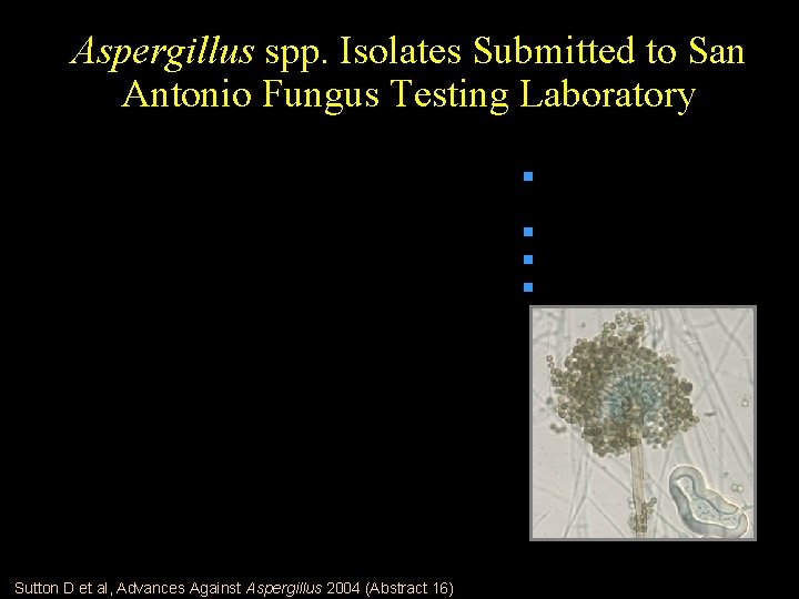 Aspergillus spp. Isolates Submitted to San Antonio Fungus Testing Laboratory 918 Isolates; Jan. 2001