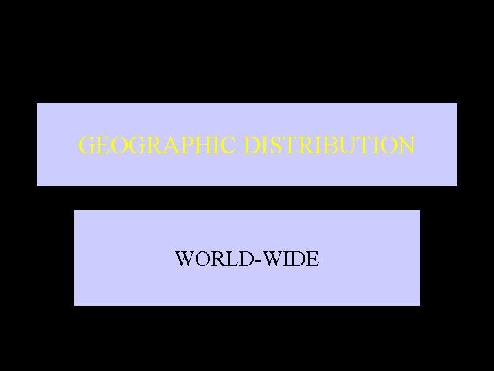 GEOGRAPHIC DISTRIBUTION WORLD-WIDE 