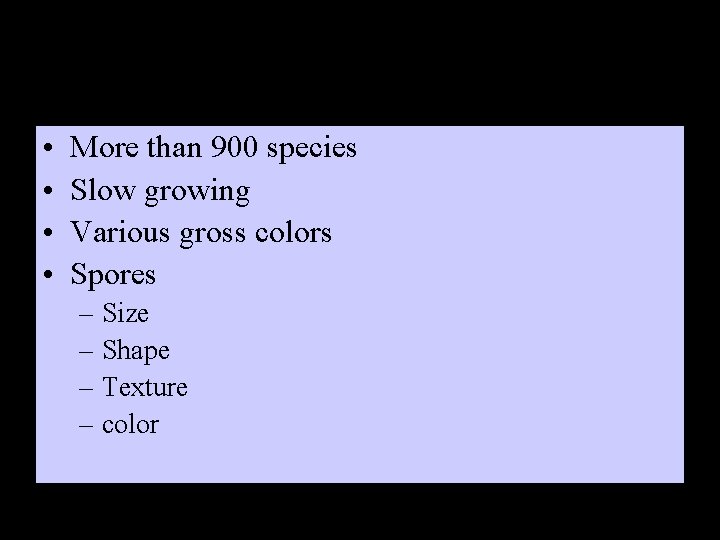  • • More than 900 species Slow growing Various gross colors Spores –