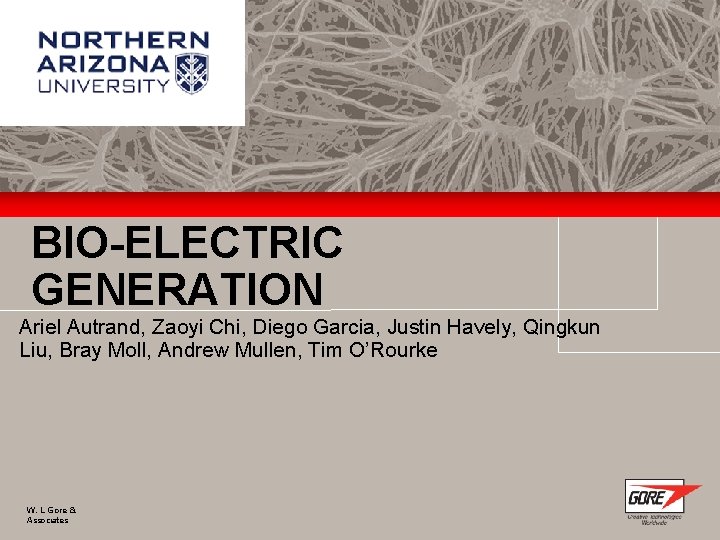 BIO-ELECTRIC GENERATION Ariel Autrand, Zaoyi Chi, Diego Garcia, Justin Havely, Qingkun Liu, Bray Moll,