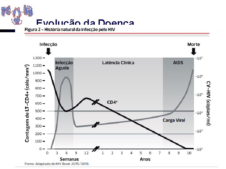 Evolução da Doença 