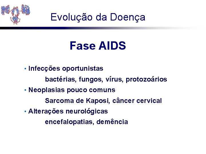 Evolução da Doença Fase AIDS • Infecções oportunistas bactérias, fungos, vírus, protozoários • Neoplasias
