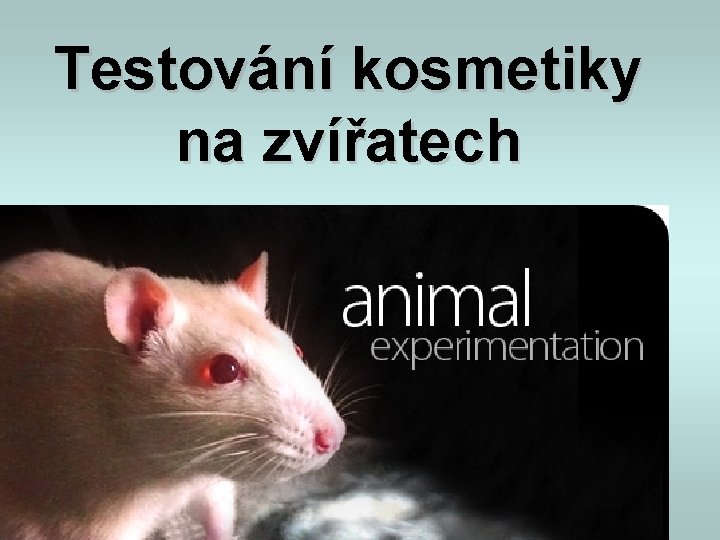 Testování kosmetiky na zvířatech Testování kosmetiky na zvířatech