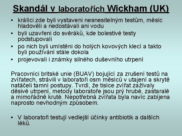 Skandál v laboratořích Wickham (UK) • králíci zde byli vystaveni nesnesitelným testům, měsíc hladověli Skandál v laboratořích Wickham (UK) • králíci zde byli vystaveni nesnesitelným testům, měsíc hladověli
