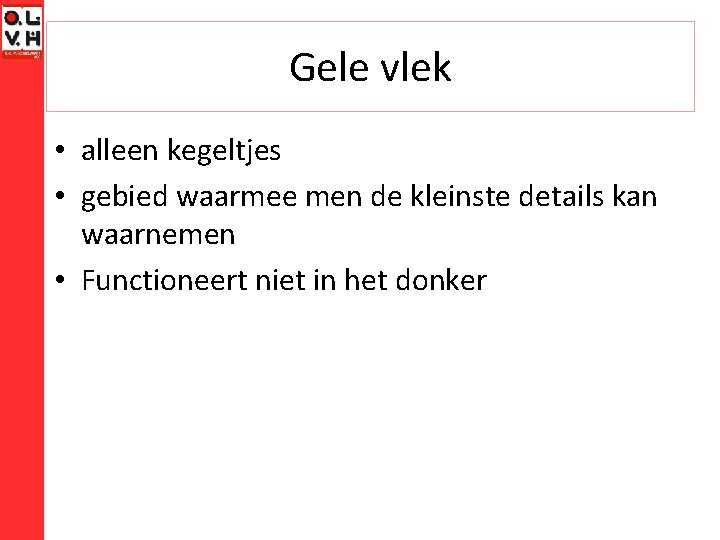 Gele vlek • alleen kegeltjes • gebied waarmee men de kleinste details kan waarnemen