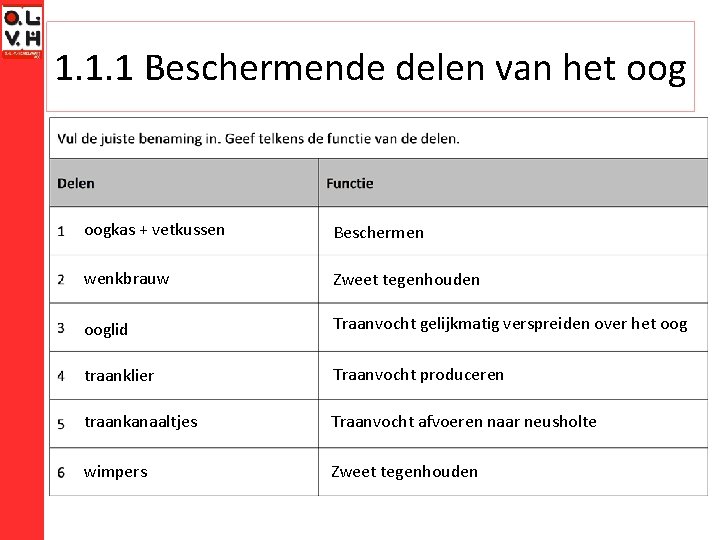 1. 1. 1 Beschermende delen van het oogkas + vetkussen Beschermen wenkbrauw Zweet tegenhouden