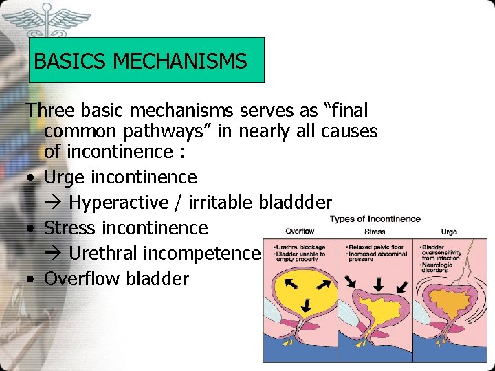 BASICS MECHANISMS Three basic mechanisms serves as “final common pathways” in nearly all causes BASICS MECHANISMS Three basic mechanisms serves as “final common pathways” in nearly all causes