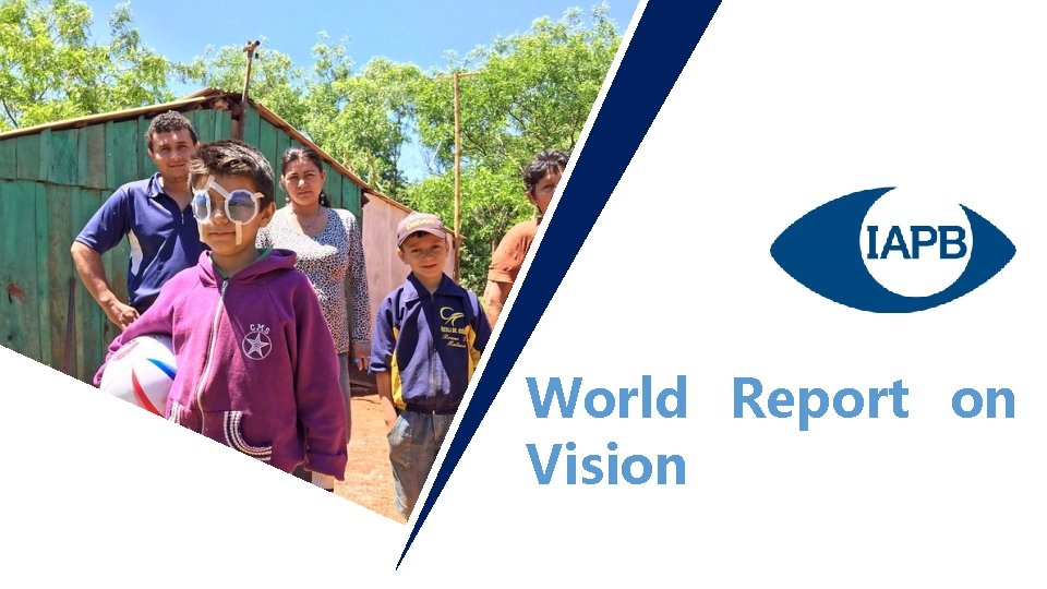 World Report on Vision 