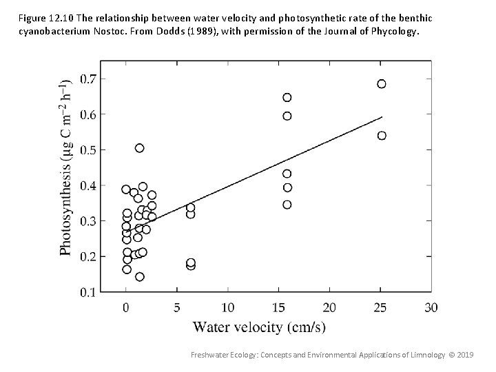 Figure 12. 10 The relationship between water velocity and photosynthetic rate of the benthic