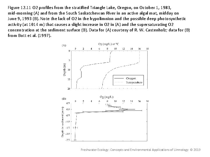 Figure 12. 11 O 2 profiles from the stratified Triangle Lake, Oregon, on October