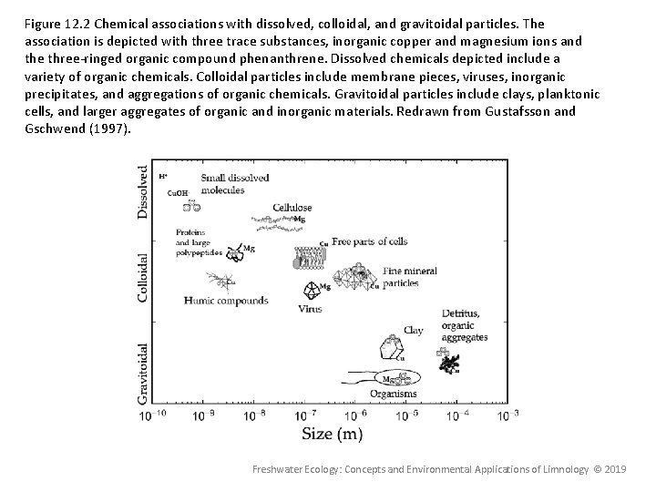 Figure 12. 2 Chemical associations with dissolved, colloidal, and gravitoidal particles. The association is