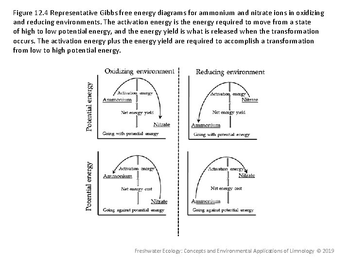 Figure 12. 4 Representative Gibbs free energy diagrams for ammonium and nitrate ions in