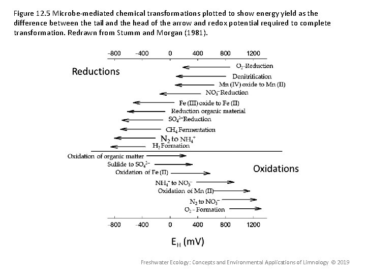 Figure 12. 5 Microbe-mediated chemical transformations plotted to show energy yield as the difference