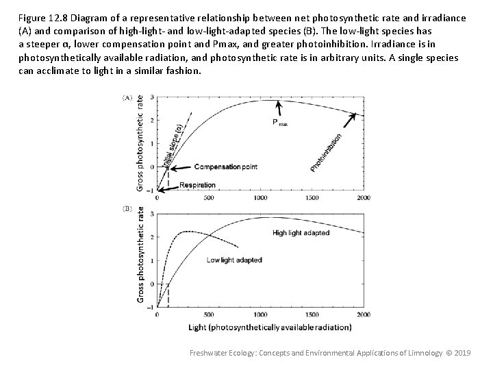 Figure 12. 8 Diagram of a representative relationship between net photosynthetic rate and irradiance