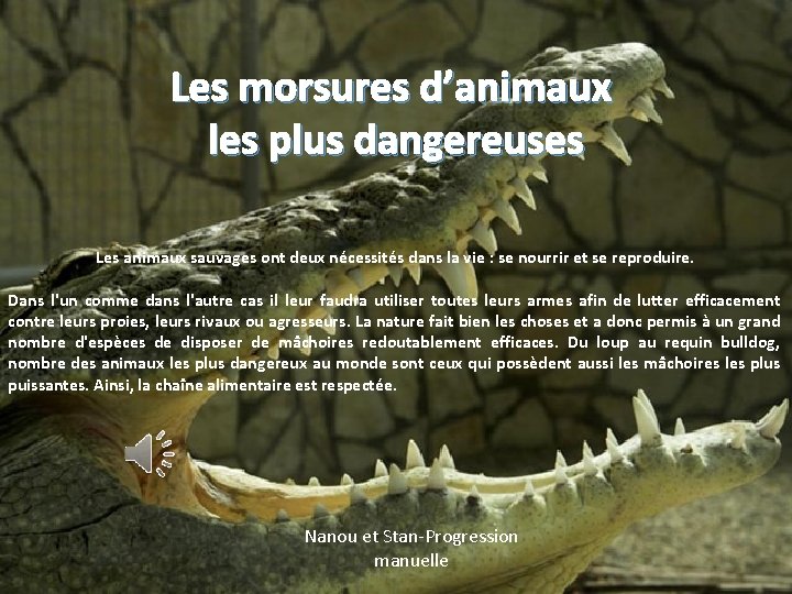 Les morsures d’animaux les plus dangereuses Les animaux sauvages ont deux nécessités dans la Les morsures d’animaux les plus dangereuses Les animaux sauvages ont deux nécessités dans la