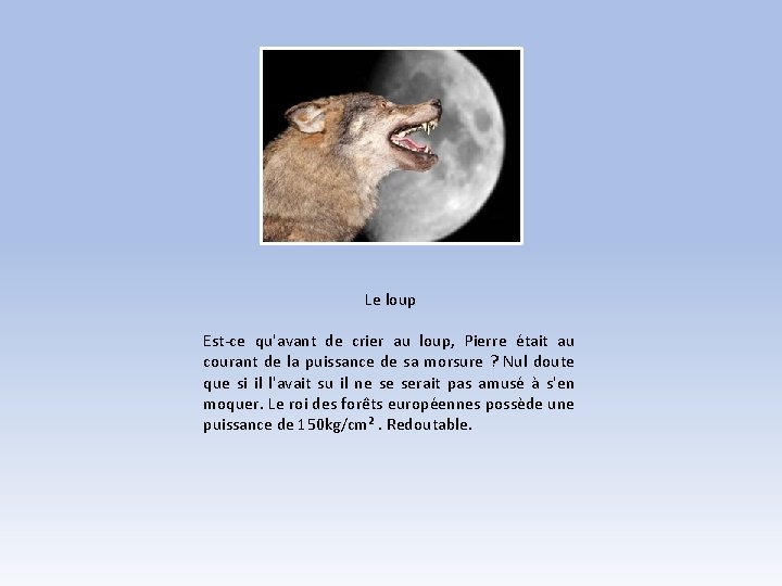 Le loup Est-ce qu'avant de crier au loup, Pierre était au courant de la Le loup Est-ce qu'avant de crier au loup, Pierre était au courant de la