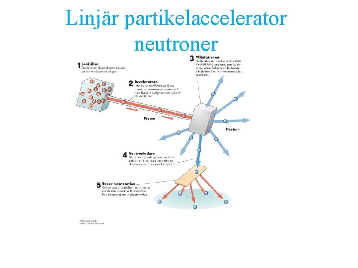 Linjär partikelaccelerator neutroner 