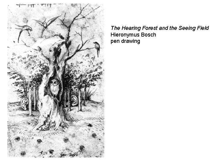 The Hearing Forest and the Seeing Field Hieronymus Bosch pen drawing 