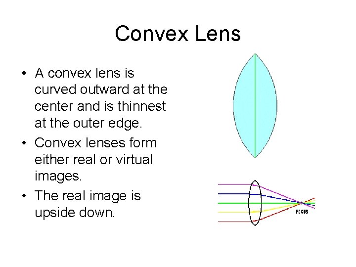 Convex Lens • A convex lens is curved outward at the center and is