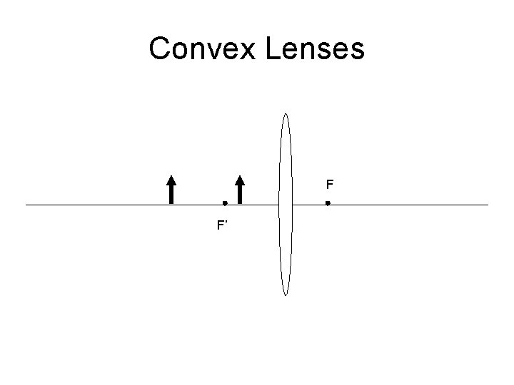 Convex Lenses F F’ 