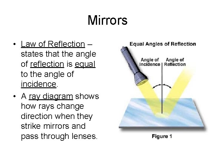 Mirrors • Law of Reflection – states that the angle of reflection is equal