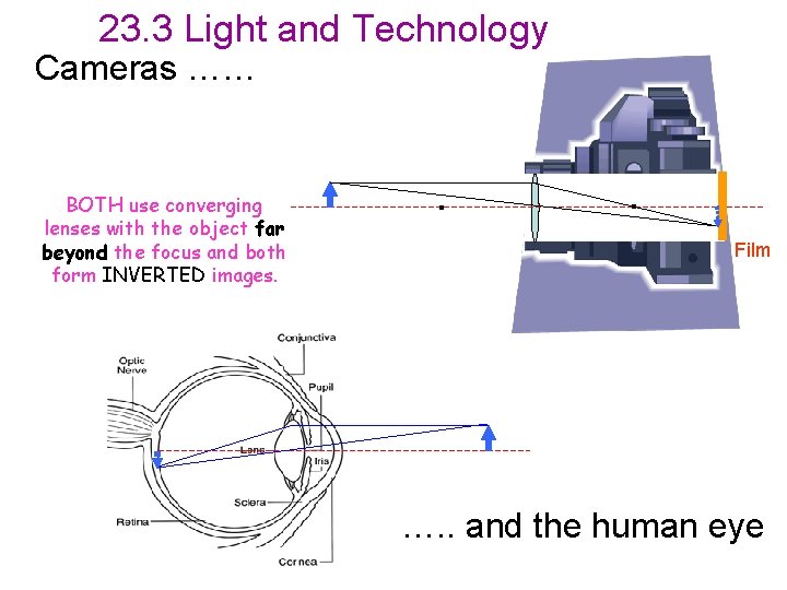23. 3 Light and Technology Cameras …… BOTH use converging lenses with the object